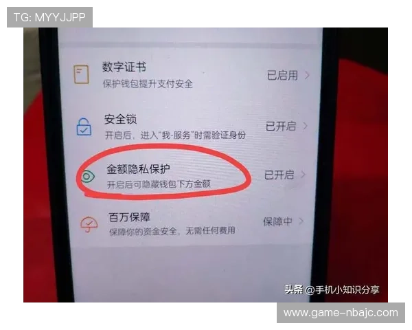 解析凯发体育备用平台的支付方式与资金安全保障